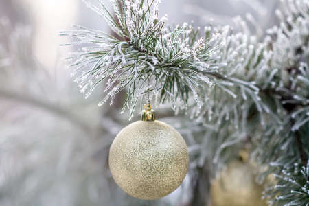Sprig of christmas tree with of hanging balls covered hoarfrost. Selective focusの写真素材