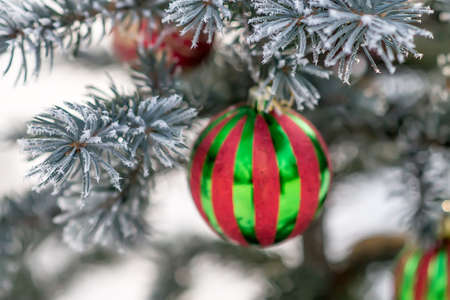 Striped Christmas ball on a snow-covered tree branch. christmas tree background. Selective focusの写真素材