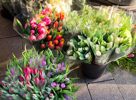 Flower market with various multicolored fresh flowersの写真素材
