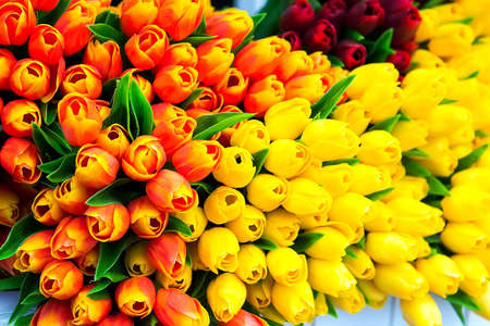 Colorful plastic decorative artificial tulips, market stallの写真素材