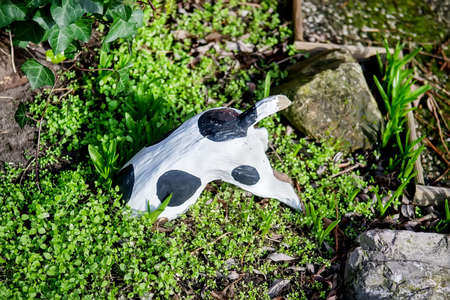 Garden decoration. Dog figure on the lawn in a gardenの写真素材