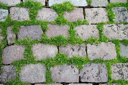Texture of square gray stones lined in a park for a sidewalk. Grass between the stonesの写真素材