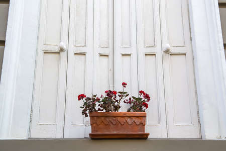 Pot of red blooming geranium on a window. Selective focusの写真素材