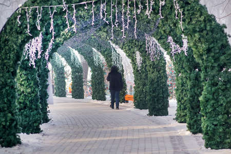 Arches of fir branches in a Christmas winter park, people walk. Selective Focus.のeditorial素材