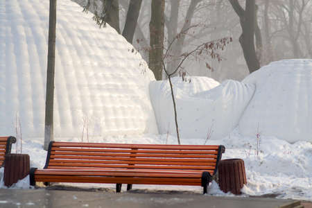 Snow igloo house in the winter park. Park decorated to Christmas winter holidays. Selective focusの写真素材