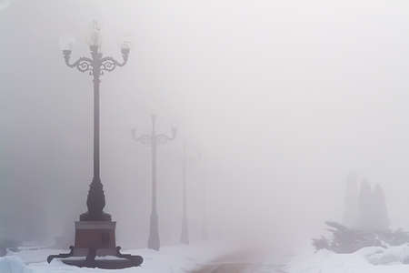 Winter landscape with with fog in the park background. Selective focusの写真素材