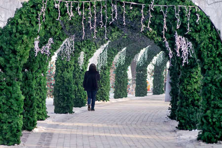 Arches of fir branches in a Christmas winter park, people walk. Selective Focus.のeditorial素材