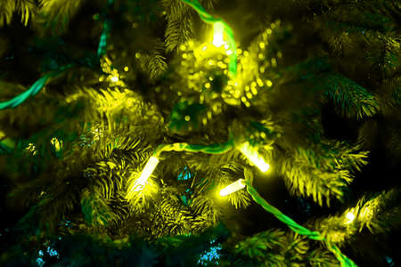 Christmas lights hanging in a tree. Selective focusの写真素材
