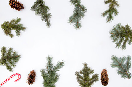 Christmas minimal concept - christmas frame composition made of evergreen tree branch