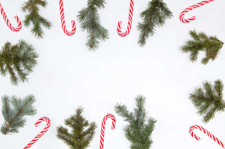 Christmas minimal concept - christmas frame composition made of evergreen tree branchの写真素材