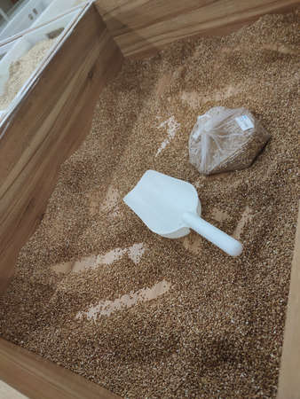 Fried brown buckwheat in a box. Buckwheat Grain.の写真素材