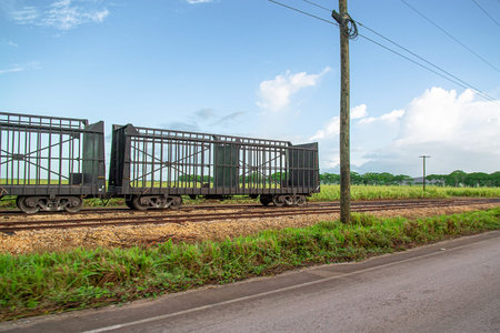 Scenic view of open metal rail cars on rural railway track in Dominican Republic, beside road with...