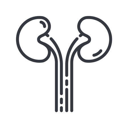 Line icon of human kidney organ side view. Healthcare symbol isolated on transparent background.のイラスト素材