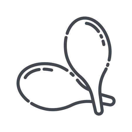 Vector line icon of maracas. Musical percussion instrument icon isolated on transparent background.のイラスト素材