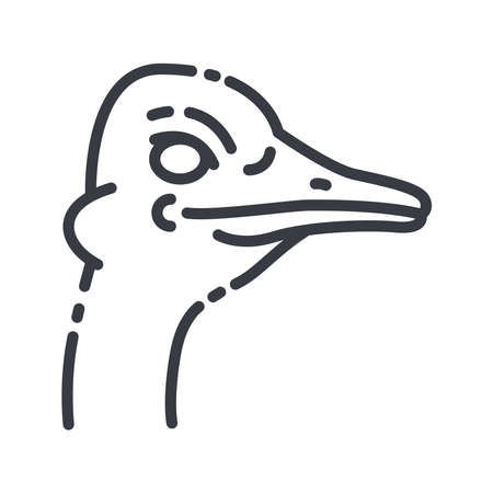 Vector ostrish line icon isolated on transparent background. live stock signのイラスト素材