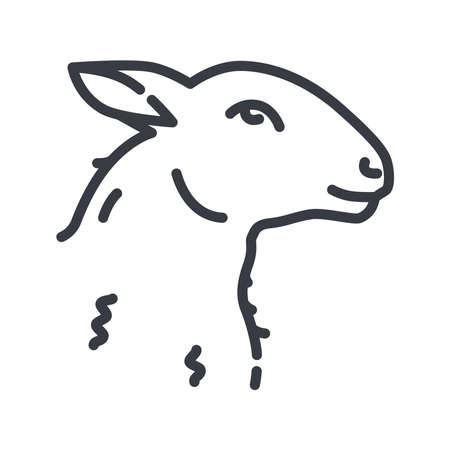 Vector sheep line icon isolated on transparent background. live stock signのイラスト素材