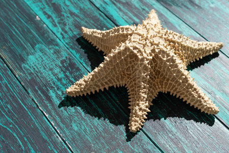 Photo of starfish placed to the left side on blue wooden background with copy space. Long shadows hard light.の写真素材