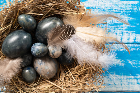 Marble blue Easter eggs in bird nest with feathers and spring flowers on blue background . Happy...