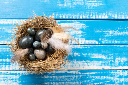 Marble blue Easter eggs in bird nest with feathers and spring flowers on blue background .