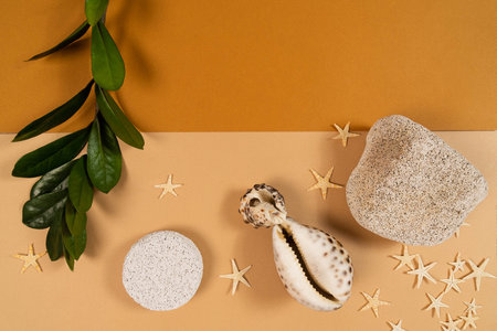 Pumice stone, shells and green leaves , starfish on a light brown and orange background for your eco...