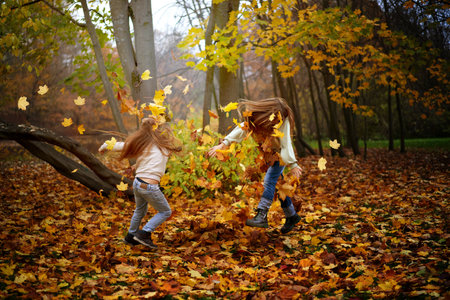 Children in the autumn park run, jump, and play among the colorful bright maple foliage. Autumn leaves are flying around. Copy space for your design.の写真素材