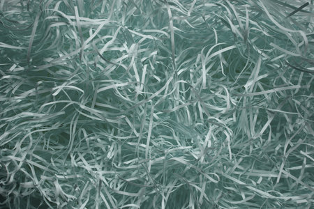 A closeup of shredded paper resembling a plant twig pattern. The texture is similar to terrestrial...