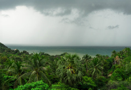 Expansive tropical foliage meets the ocean, hinting at a rainy horizon and adventure to come.Koh Phangan. Thailand.の写真素材