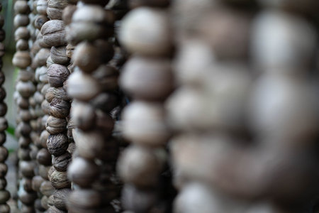 Delicate natural beads cascade in vertical lines, showcasing their unique textures and earthy tones. The subtle background enhances the focus on the vibrant string art, inviting exploration.の写真素材