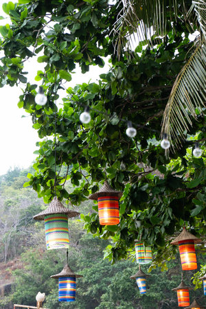 Vibrant lanterns sway gently from a tree, surrounded by rich greenery in a tropical...