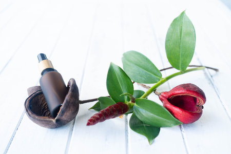 Cosmetic bottle rests within a natural holder alongside colorful leaves and flowers.の写真素材