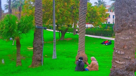 Couple sitting under palm trees in the park. Travel to Egyptの写真素材