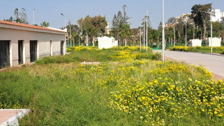Flowers in the streets of Limassol in Cyprus, Europeの写真素材