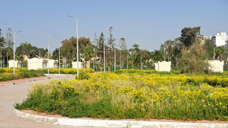 Park in the city of Hurghada in Egypt in Africa.の写真素材