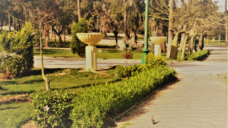 Vintage photo of a beautiful park in the middle of the cityの写真素材