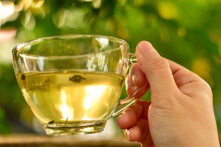Close up woman hand holding a cup of tea, natural backgroundの写真素材