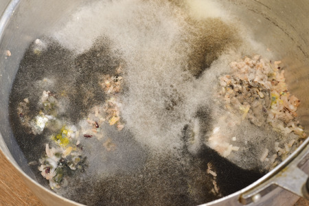 Aspergillus mold on food. Texture of toxic mold with black, white, green, yellow and orange fungus spots.の写真素材