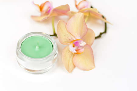 Candle and orchidの写真素材