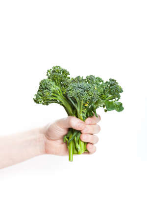 Hand with fresh, green organic broccoliniの写真素材