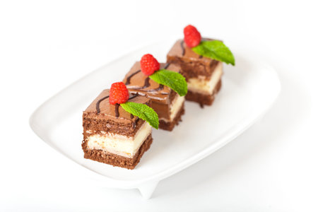 Chocolate Fudge Stripe 3 Layer Cake with Raspberryの写真素材