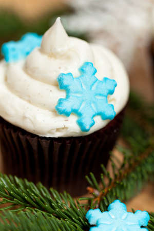 Christmas theme  Cupcake with snowflakeの写真素材