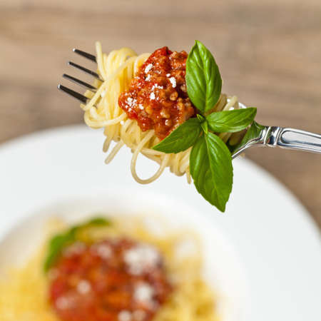 Italian food. Spaghetti Bolognese on fork with basil garnishの写真素材