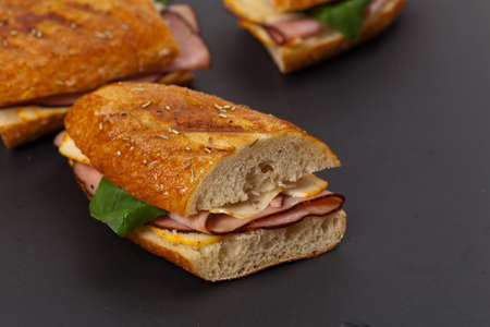 Grilled Ham and Cheese Panini Sandwich. Selective focus.の写真素材