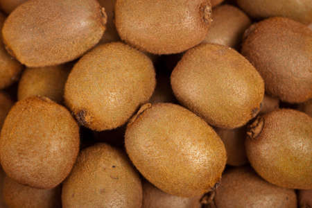 Kiwi fruit. Macro. Selective focus.の写真素材
