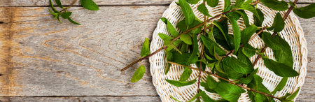 Fresh Mint on Old Wooden texture. Selective focus.の写真素材