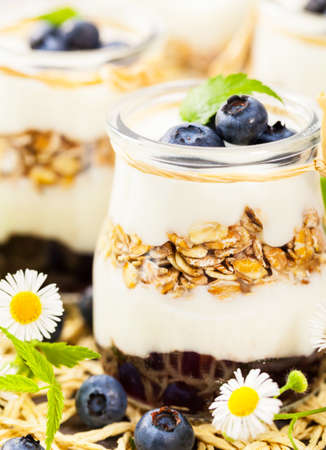 Granola. Granola with Yogurt, Honey and Blueberries.の写真素材