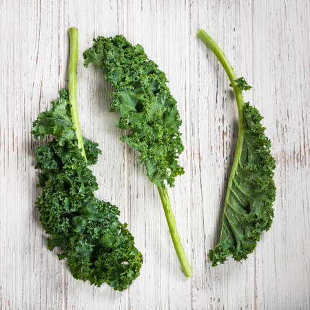 Kale or Leaf Cabbage. Selective focus.の写真素材