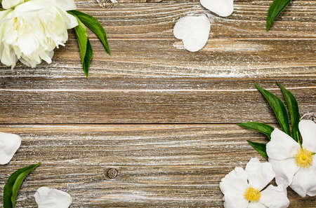 White Peonies background. Selective focus.の写真素材