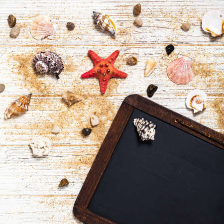 Top view of Beach sand, shells and starfish with black chalkboard background card concept. Selective focus.の写真素材