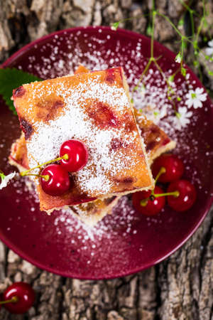 Tart Cherry Cake with Powdered Sugar. Selective focus.の写真素材