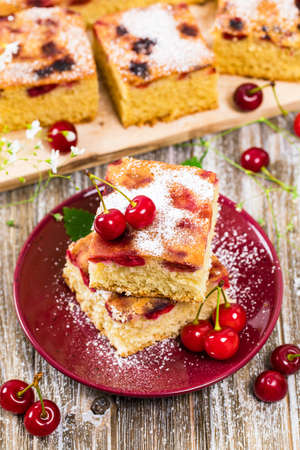 Summer Tart Cherry Cake with Powdered Sugar. Selective focus.の写真素材